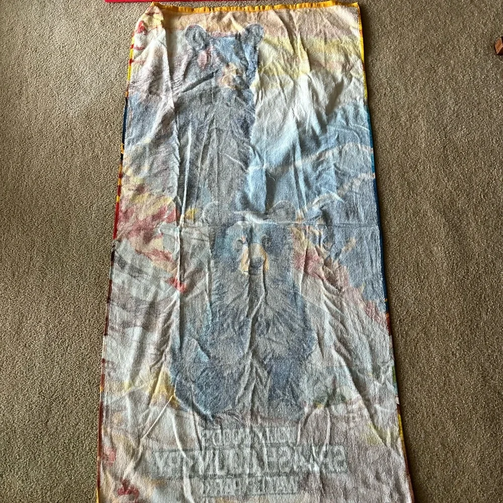 Dollywood Splash Country NWT Bear Cotton Beach Towel